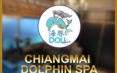 Chiang Mai Dolphin Spa