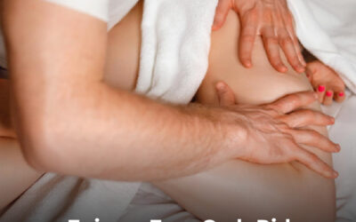 돌핀 스파까지 무료 그랩 라이드 즐기기