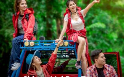 Chiang Mai Day Tours: Culture, Nature, and Hidden Gems